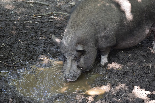 中超：上海双雄均取得开门红，王大雷首轮染红，蓉城战.