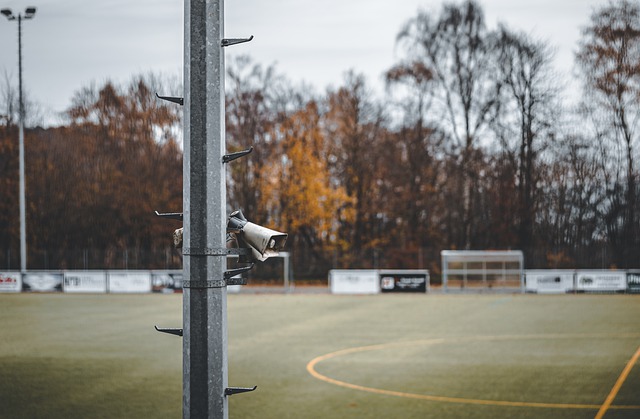 袖的角色 袖的角色