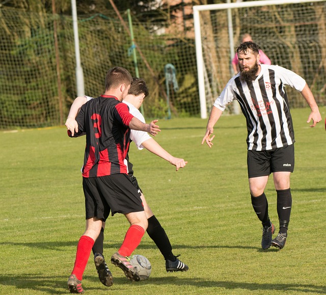 也是对其未 也是对其未