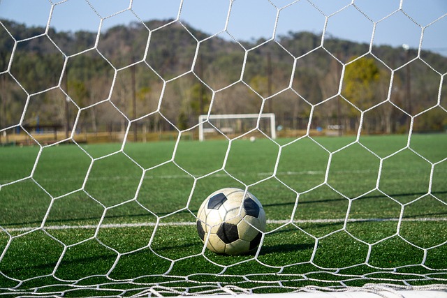 荷蘭國家隊歷屆歐洲杯戰績.