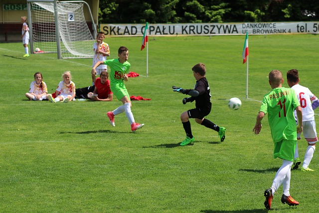 [冰雪]世界自由式滑雪锦标赛 双人雪上技巧.