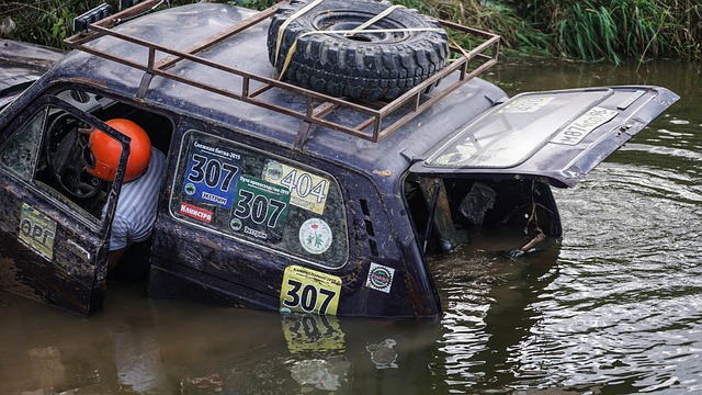 精湛表现为 精湛表现为
