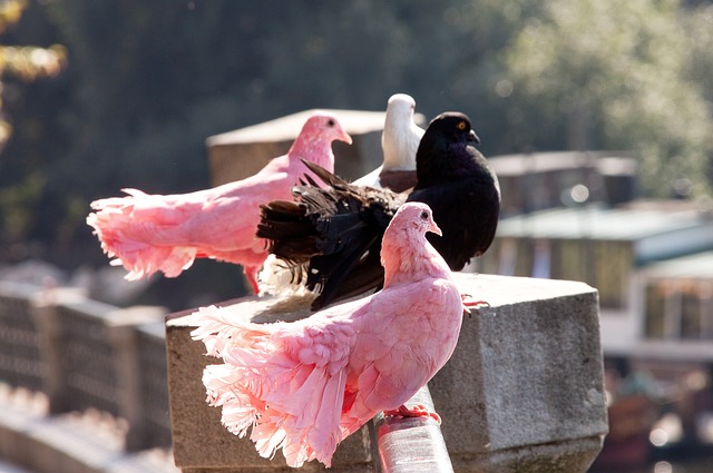 詹俊：曼聯已跌至低谷，滕哈赫的戰術存在問題.