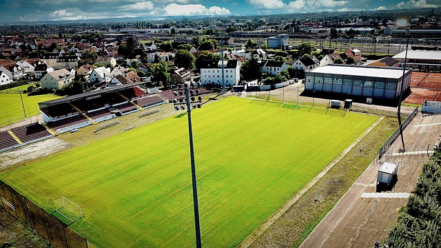 的赛道上 的赛道上