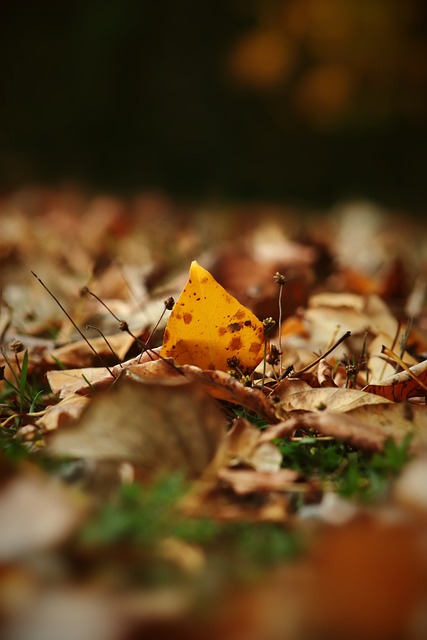 他为许多人 他为许多人