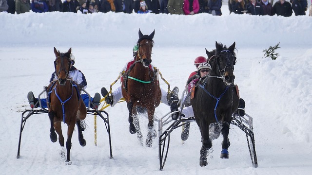 即便在退役 即便在退役