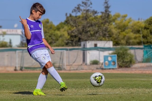 箭队本赛季 箭队本赛季